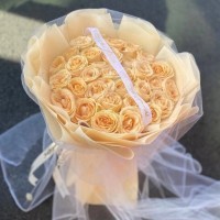 ͤʻٵ